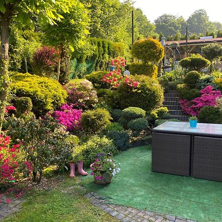 Domek I Apartamenty Zacisze ブレンナ エクステリア 写真