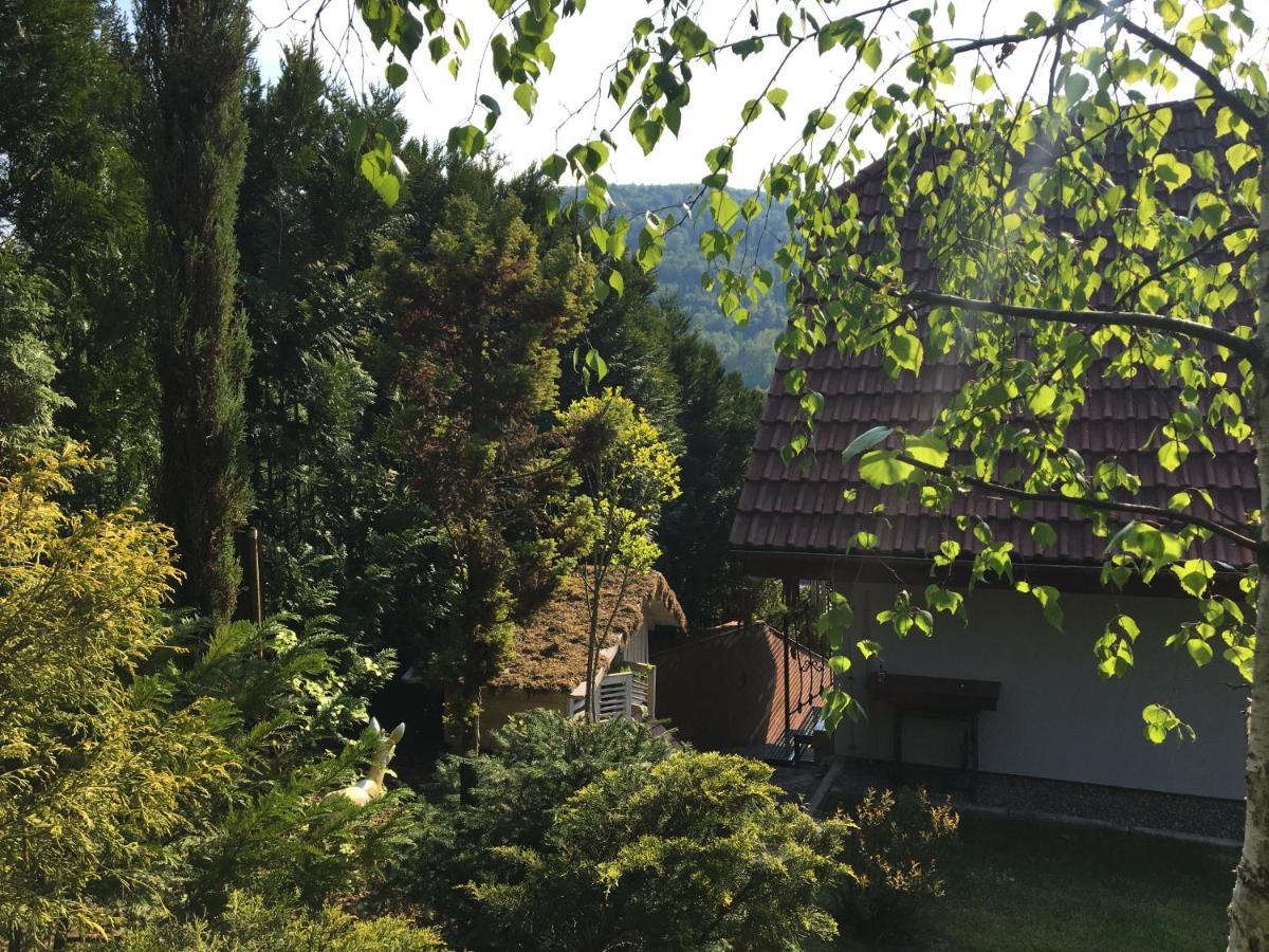 Domek I Apartamenty Zacisze ブレンナ エクステリア 写真